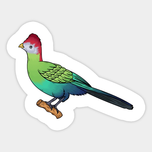 Red-crested turaco bird cartoon illustration Sticker by Cartoons of fun